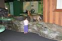 Picture 7782